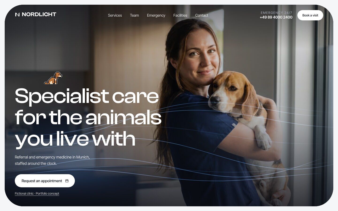 Startseite der Konzept-Website Nordlicht mit Tierärztin und Hund
